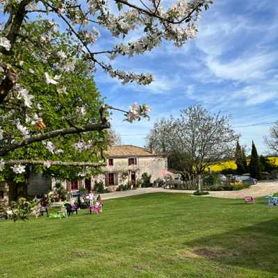 2022 04 17 omas boompje 6215 850px