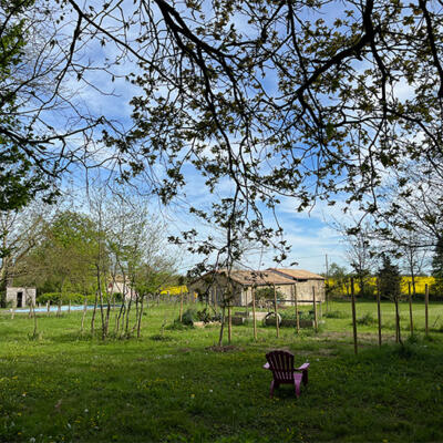 2022 04 17 Zicht Op Terrein Vanaf Moestuin 6217 700Px