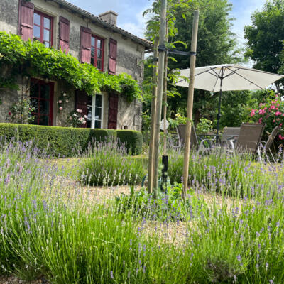 2022 05 24 Lgt Gite Tuin 7266 850Px