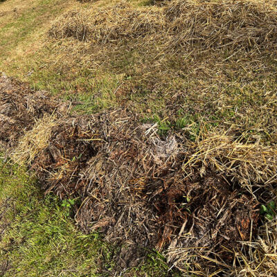 2022 Lgt Moestuin 2 6831 850P