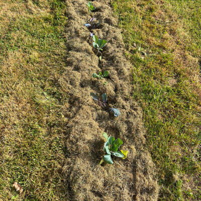 2022 Lgt Moestuin 2 6832 850P