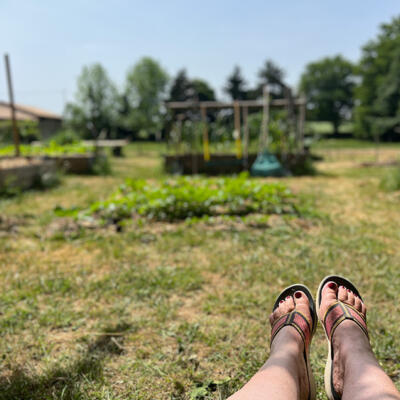 2022 Lgt Moestuin 2 7231 850P