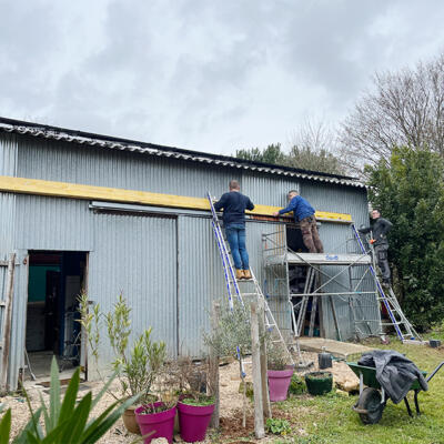 2023 03 10 Montage Balk Anna Green 850Px 6142