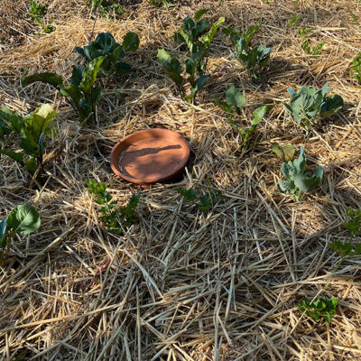 2023 Lgt Moestuin 3 8255 850P