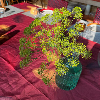 2023 Lgt Ontbijt 8778 850P