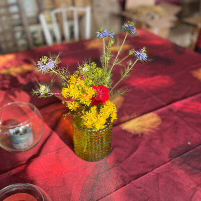 2023 Lgt Ontbijt 8780 850P