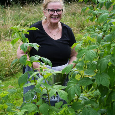 2024 08 Cobyvan Wageningen Beer Dsc02226 850Px