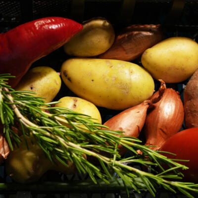 2024 08 Cobyvan Wageningen Groenten Dsc02210 850Px