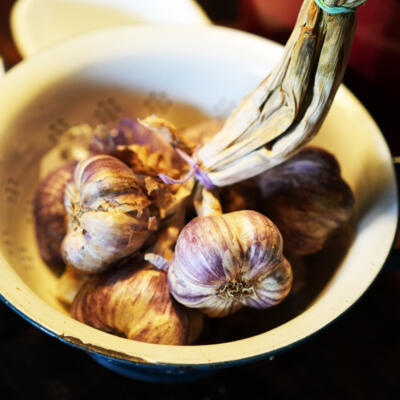 2024 08 Cobyvan Wageningen Knoflook Dsc02195 850Px