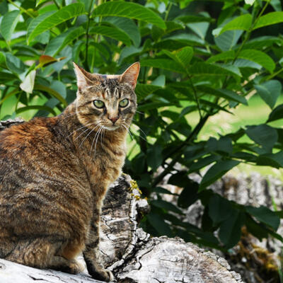 2024 Coby Van Wageningen Lgt Dsc01896 850P