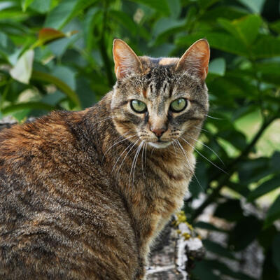 2024 Coby Van Wageningen Lgt Dsc01897 850P