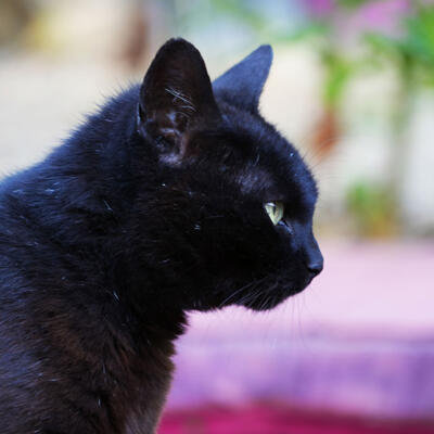 2024 Coby Van Wageningen Lgt Dsc01922 850P