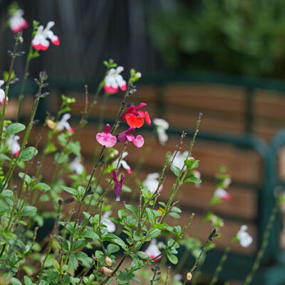 2024 Coby Van Wageningen Lgt Dsc01990 850