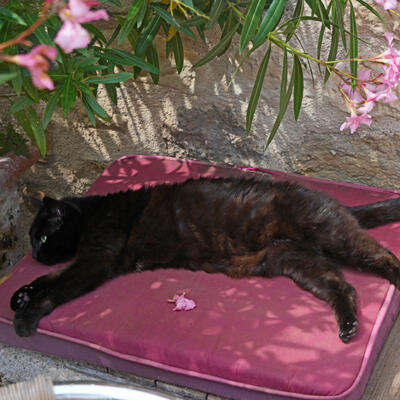 2024 Coby Van Wageningen Lgt Dsc01995 850P