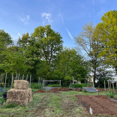 2024 Lgt Moestuin 7367 850Px