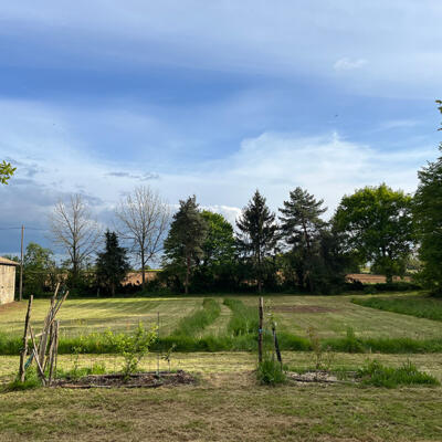 2024 Lgt Moestuin 7405 850Px