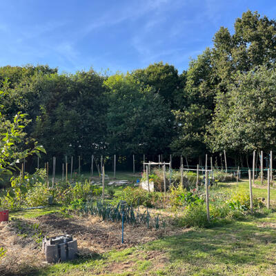 2024 Lgt Moestuin 9779 850Px