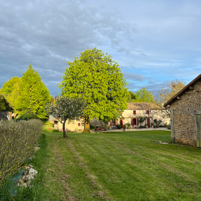 2025 04 18 omas boompje 6682 850px