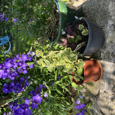 2025 05 30 Lgt Studio 8255