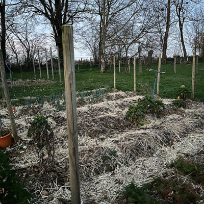 2025 Lgt Moestuin 5253 850Px