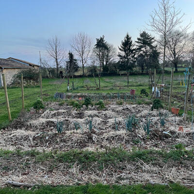 2025 Lgt Moestuin 5338 850Px