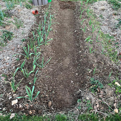 2025 Lgt Moestuin 5339 850Px