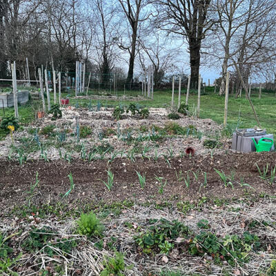 2025 Lgt Moestuin 5341 850Px