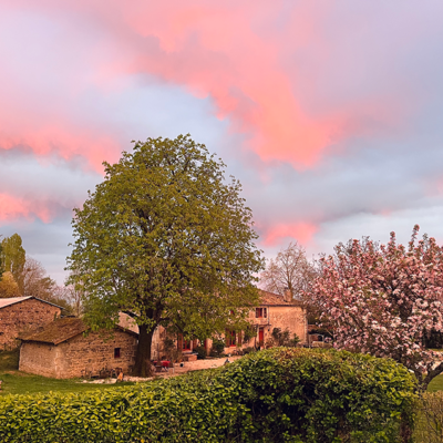 2026 04 05 omas boompje 5508 850