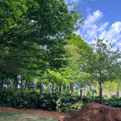 2026 04 22 werkzaamheden speeltuin 6063