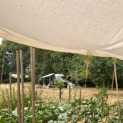 2026 07 25 camping achterveld 7672 850px