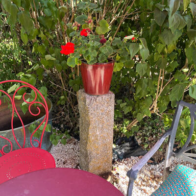 2026 07 29 LGT cour et maison 7849 850px