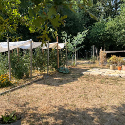 2026 07 29 LGT moestuin 7789 850 px