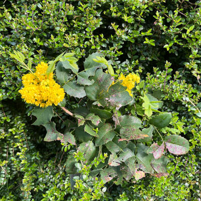 Lgt Jardins Printemps 5335 850Px