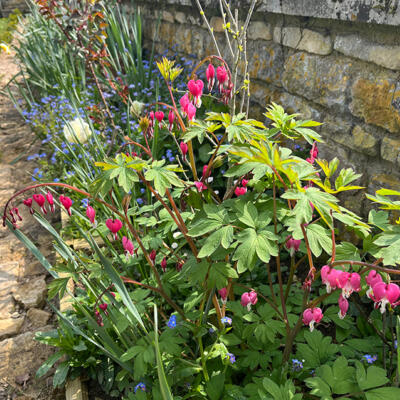 Lgt Jardins Printemps 5363 850Px