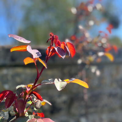 Lgt Jardins Printemps 5477 850Px
