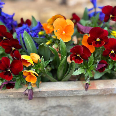 Lgt Jardins Printemps 5584 850Px