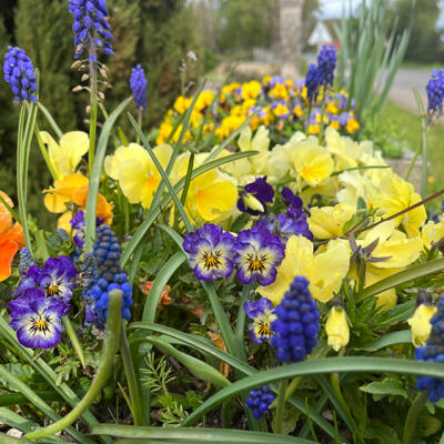 Lgt Jardins Printemps 5630 850Px