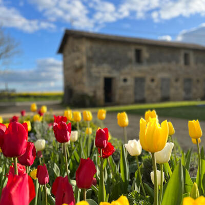 Lgt Jardins Printemps 5724 850Px