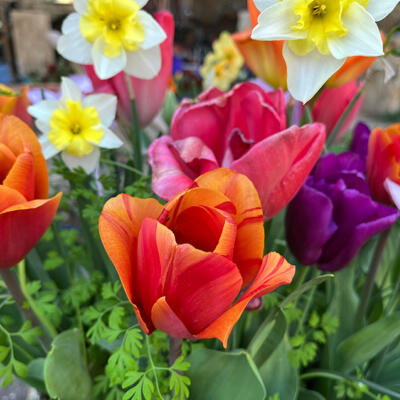 Lgt Jardins Printemps 5957 850Px