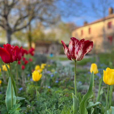 Lgt Jardins Printemps 7138 850Px