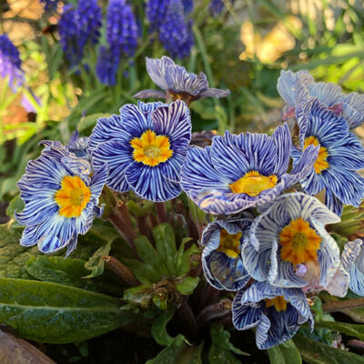 Lgt Jardins Printemps 7459 850Px
