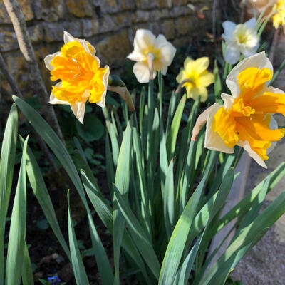Lgt Jardins Printemps 7529 850Px