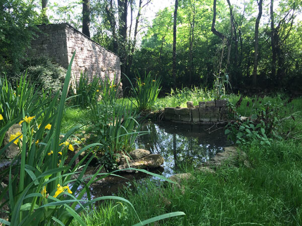 160523 Exoudun 850Px 4348
