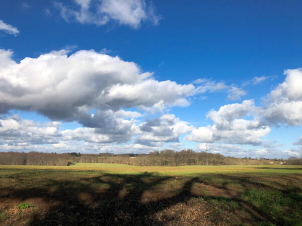 2021 01 25 Lgt Balade Wandeling Lunch 850Px 6202