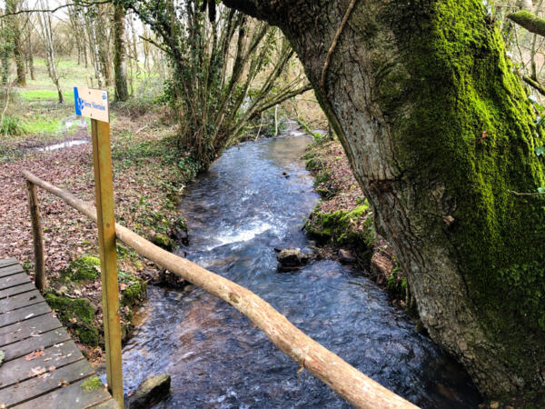 2021 01 25 Lgt Balade Wandeling Lunch 850Px 6217