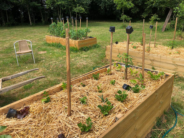 2020 06 05 Lgt Moestuin Bakken 1617 850P