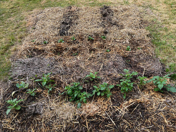 2022 Lgt Moestuin 2 6843 850P